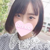 長岡デリヘル ROOKIE(ルーキー)の1月4日お店速報「【連日ほぼ完売】ご奉仕好き現役女子大生『あずさちゃん』ご予約受付中」