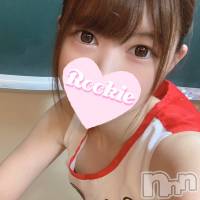 長岡デリヘル ROOKIE(ルーキー)の1月14日お店速報「【本日初出勤】Eカップ美巨乳美女『おとちゃん』ご予約受付中です」