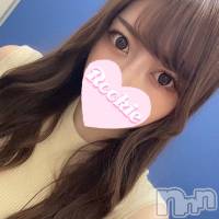 長岡デリヘル ROOKIE(ルーキー)の2月1日お店速報「【新人入店速報】ご奉仕好きなEカップ美少女『ちさとちゃん』初出勤です」