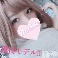 長岡デリヘル ROOKIE(ルーキー)の2月17日お店速報「【人気急上昇中】高身長☆モデル級の美巨乳美女『おぼろちゃん』」
