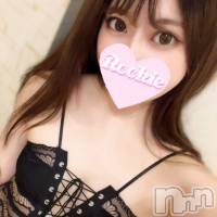 長岡デリヘル ROOKIE(ルーキー)の3月18日お店速報「Mなお客様必見のド変態S痴女『えみかちゃん』前立腺、男の潮吹き可能」