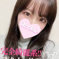 長岡デリヘル ROOKIE(ルーキー)の4月13日お店速報「完全綺麗系美女『きっかちゃん』早くも人気上昇中」