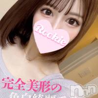 長岡デリヘル ROOKIE(ルーキー)の4月26日お店速報「スベスベ美肌の完全綺麗系美女『ねるちゃん』濃厚フェラが得意との事」