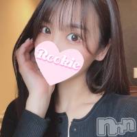 長岡デリヘル ROOKIE(ルーキー)の6月6日お店速報「ご奉仕好きパイパン美女『ひすいちゃん』人気上昇中です」