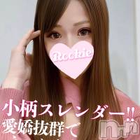 長岡デリヘル ROOKIE(ルーキー)の11月7日お店速報「愛嬌抜群!!小柄スレンダー美少女【りなちゃん】本日より出勤決定です」