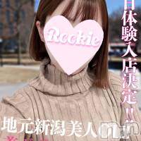 長岡デリヘル ROOKIE(ルーキー)の11月29日お店速報「地元新潟の美ボディお姉さん【しずくちゃん】本日初出勤です」