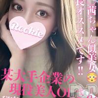 長岡デリヘル ROOKIE(ルーキー)の1月13日お店速報「店長オススメ！！堀〇茜似の現役OL美女『みりちゃん』人気急上昇中」