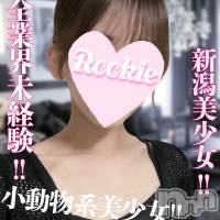 長岡デリヘル ROOKIE(ルーキー)の5月14日お店速報「完全業界未経験☆地元新潟小動物系美女『かなでちゃん』本日初出勤です」