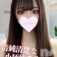 長岡デリヘル ROOKIE(ルーキー)の6月7日お店速報「本日最終日色白美肌×清楚系の小柄美少女『しえるちゃん』」