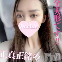 長岡デリヘル ROOKIE(ルーキー)の6月27日お店速報「正真正銘ハーフスタイル抜群の完全美形美女『あいるちゃん』」