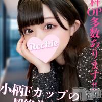 長岡デリヘル ROOKIE(ルーキー)の7月4日お店速報「人気急上昇中ミニマム巨乳の超絶美少女『なちちゃん』」