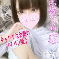 長岡デリヘル ROOKIE(ルーキー)の8月29日お店速報「ふわふわGカップの極上パイズリ愛嬌抜群の妹系美少女『るんちゃん』」