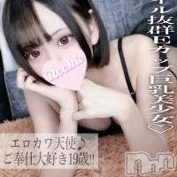 長岡デリヘル ROOKIE(ルーキー)の10月12日お店速報「☆ご奉仕大好き19歳☆Eカップ美乳のエロカワ天使『さらちゃん』」