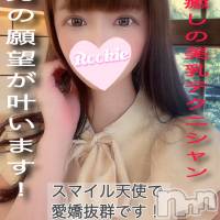 長岡デリヘル ROOKIE(ルーキー)の10月16日お店速報「待望の出勤決定キス大好きな大人キレイ系のドM美人【りさちゃん】」