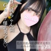 長岡デリヘル ROOKIE(ルーキー)の11月19日お店速報「色白美肌の現役女子大生天然のGカップ爆乳美少女『こいちゃん』」