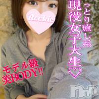 長岡デリヘル ROOKIE(ルーキー)の11月21日お店速報「モデル級の166㎝長身スレンダーボディ癒し系女子大生『まむちゃん』」