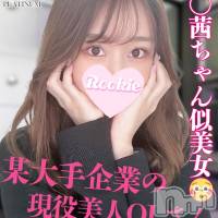 長岡デリヘル ROOKIE(ルーキー)の11月28日お店速報「イチャイチャ好き堀〇茜似の現役美人OL『みりちゃん』」