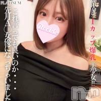 長岡デリヘル ROOKIE(ルーキー)の12月7日お店速報「先月A〇デビュー⁉爆乳Iカップのクジラ潮大噴射美少女🐋『りむちゃん』」