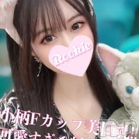 長岡デリヘル ROOKIE(ルーキー)の1月3日お店速報「Fカップ巨乳の帰国子女小柄な全身敏感美少女『しきちゃん』」