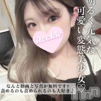 長岡デリヘル ROOKIE(ルーキー)の1月30日お店速報「写真と動画(顔NGのみ)無料責めも受けも得意で大好き『りりあちゃん』」