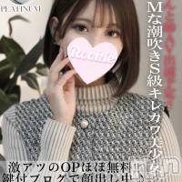 長岡デリヘル ROOKIE(ルーキー)の2月1日お店速報「超ドMで潮吹き体質AV出演予定のS級キレカワ美少女『くおんちゃん』」