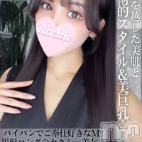 長岡デリヘル ROOKIE(ルーキー)の2月8日お店速報「色白美肌と芸術的美巨乳ご奉仕好きのパイパン美女『ひすいちゃん』」