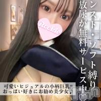 長岡デリヘル ROOKIE(ルーキー)の2月28日お店速報「おっぱい好き必見Fカップ美巨乳小顔で低身長の小柄美少女『ときちゃん』」