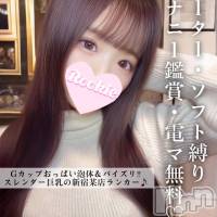 長岡デリヘル ROOKIE(ルーキー)の3月14日お店速報「Gカップおっぱい洗体＆パイズリ森〇澄似パイパン美少女『みはるちゃん』」