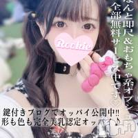 長岡デリヘル ROOKIE(ルーキー)の3月24日お店速報「形も色も肩癖の完全美乳萌カワロリ巨乳美少女『めろちゃん』」