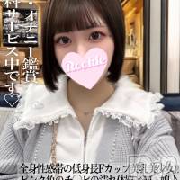長岡デリヘル ROOKIE(ルーキー)の5月16日お店速報「全身性感帯のMっ娘低身長Fカップ美乳の細身ボディ『れんかちゃん』」