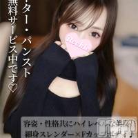 長岡デリヘル ROOKIE(ルーキー)の6月29日お店速報「容姿・性格共にハイレベル美尻＆くびれの極上ボディ美女『りたちゃん』」