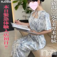 長岡デリヘル ROOKIE(ルーキー)の8月7日お店速報「本日緊急体験入店完全業界未経験の地元新潟美少女『そらちゃん』」