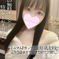 長岡デリヘル ROOKIE(ルーキー)の8月23日お店速報「無料OP多数完全合法ロリFカップ美巨乳美少女『みやこちゃん』」