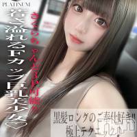 長岡デリヘル ROOKIE(ルーキー)の9月22日お店速報「💎 リピート必至 💎 Fカップ清楚系美女『ひめちゃん』大好評出勤中✨」