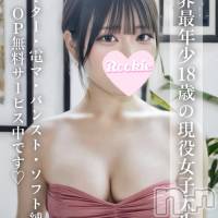 長岡デリヘル ROOKIE(ルーキー)の11月12日お店速報「🌸業界最年少18歳！清楚系現役女子大生🌸『あいか』ちゃん登場💓」