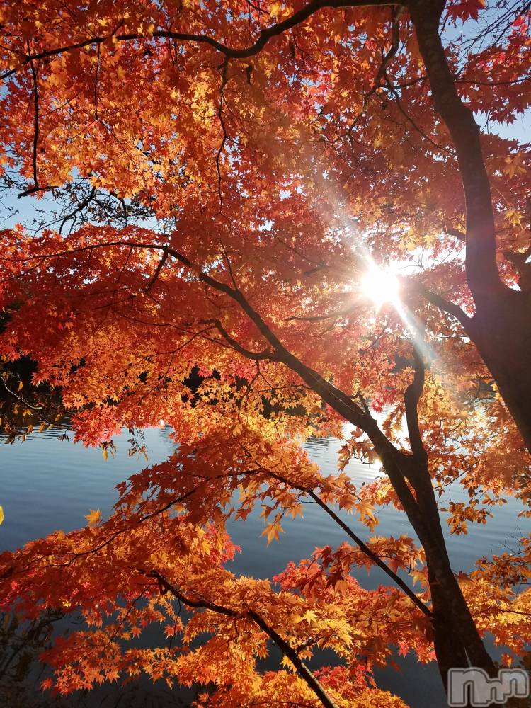 上田発デリヘルBIBLE～奥様の性書～(バイブル～オクサマノセイショ～) ◆ゆうこ◆(42)の11月21日写メブログ「トワイライト～夕暮れ便り～」