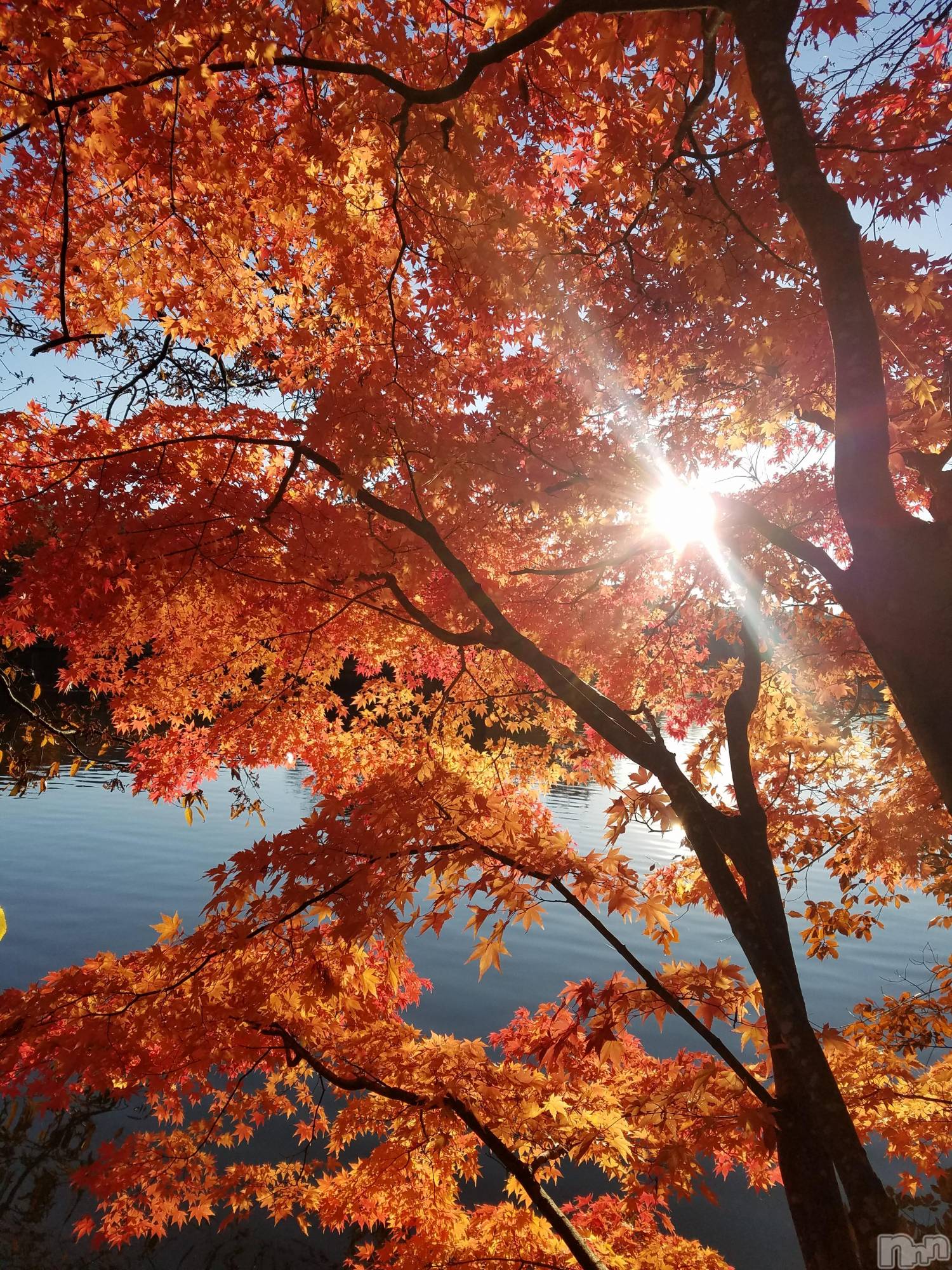 上田発デリヘルBIBLE～奥様の性書～(バイブル～オクサマノセイショ～)◆ゆうこ◆(42)の2025年11月21日写メブログ「トワイライト～夕暮れ便り～」