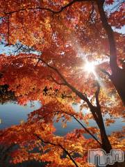 上田発デリヘルBIBLE～奥様の性書～(バイブル～オクサマノセイショ～) ◆ゆうこ◆(42)の11月21日写メブログ「トワイライト～夕暮れ便り～」