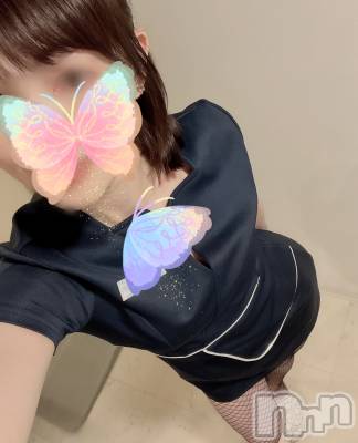 㡦ȯĥꥢ󥺥Levre(졼֥)  椢411ִ̥֥˽Ф㤦