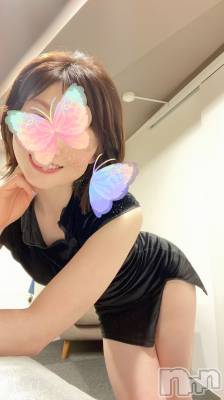 㡦ȯĥꥢ󥺥Levre(졼֥)  椢621̥֥֤ʤ