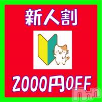 新潟ぽっちゃり 新潟市鳥屋野潟ちゃんこ(ニイガタシトヤノガタチャンコ)の9月11日お店速報「つばささん　本日初出勤☆彡」