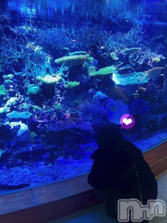 新潟デリヘルLas Vegas(ラスベガス) のあ(23)の2月9日写メブログ「🐰プラベで水族館🐬」