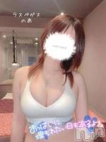 🐰セブンに急げ💨