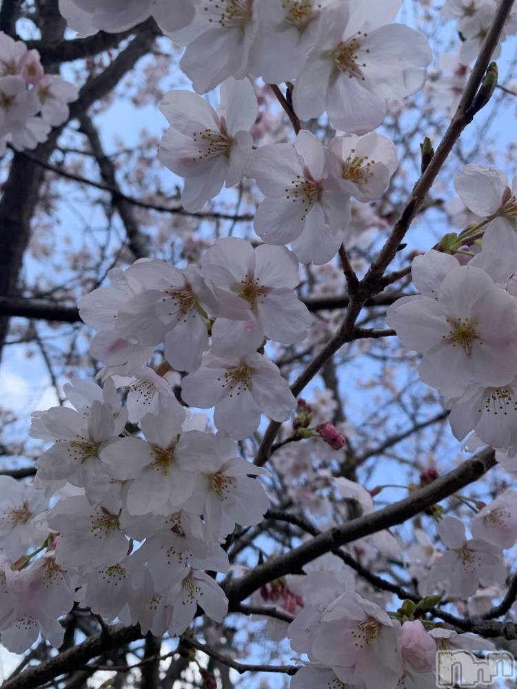 佐久発デリヘル佐久上田人妻隊(サクウエダヒトヅマタイ) よしの(42)の4月9日写メブログ「出発！」