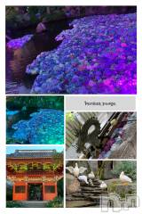 佐久発デリヘル佐久上田人妻隊(サクウエダヒトヅマタイ) よしの(42)の6月30日写メブログ「6月のお礼(^^)」