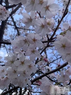 佐久発デリヘル 佐久上田人妻隊(サクウエダヒトヅマタイ) よしの(42)の4月9日写メブログ「出発！」
