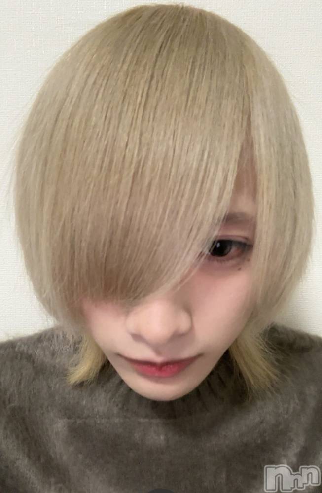 ��Į�ۥ��ȡ��ܡ������С�A151(�����������ݥ���) ���¤�1��28���̥�֥����֤����