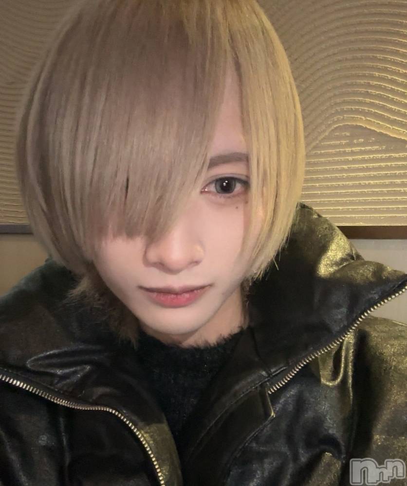 ��Į�ۥ��ȡ��ܡ������С�A151(�����������ݥ���) ���¤�3��7���̥�֥����֤����