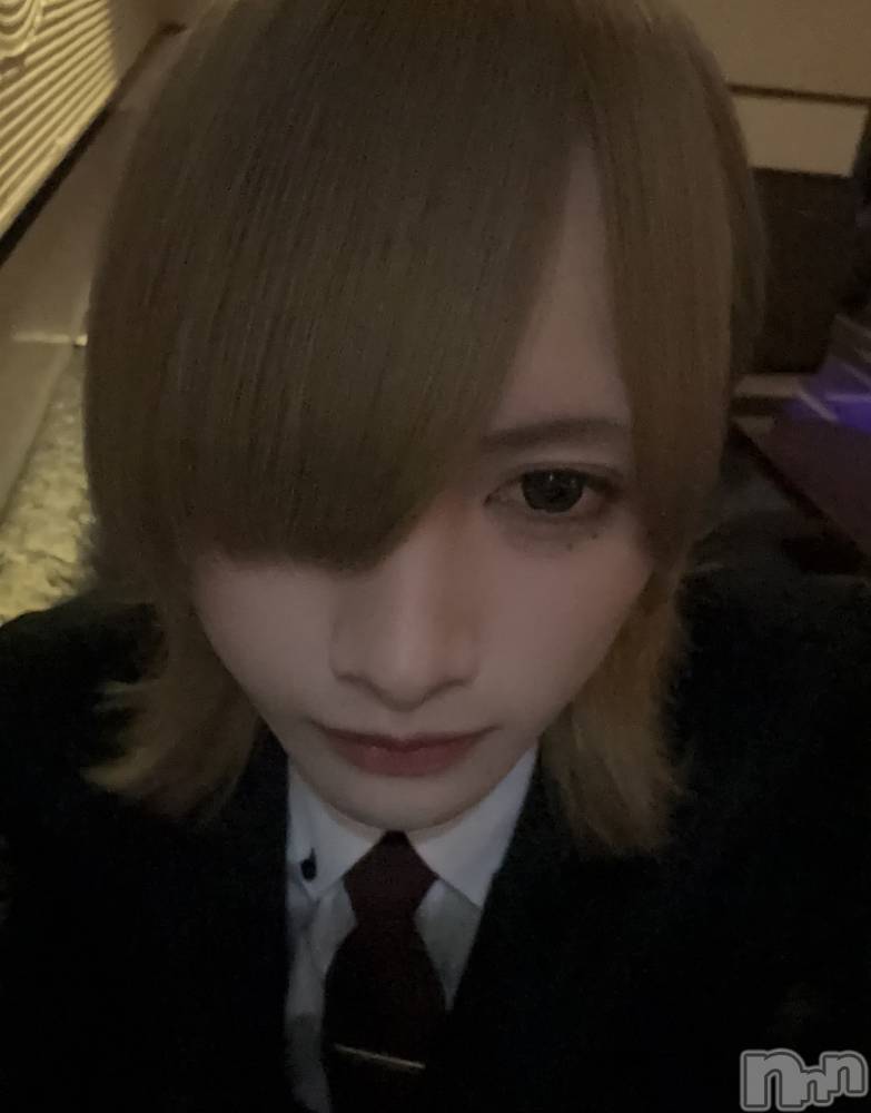 ��Į�ۥ��ȡ��ܡ������С�A151(�����������ݥ���) ���¤�3��29���̥�֥����֤��