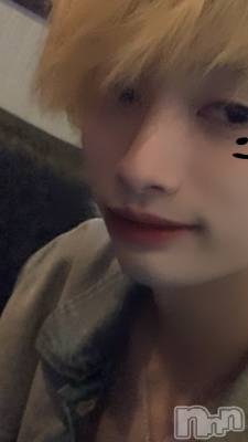 ĮۥȡܡСA151(ݥ) ¤817̥֥֤